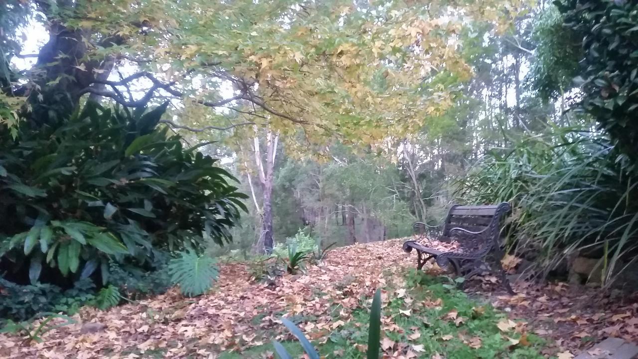 Forest View Bungalow Намбука Хедс Екстериор снимка